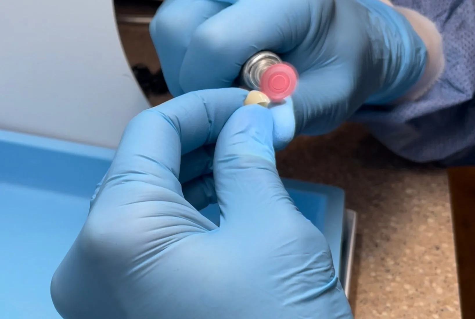 Dentist in blue gloves holding small pink dental material or sample in clinical setting.